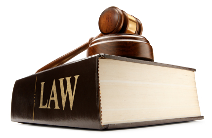 Website Litigation Assistance 