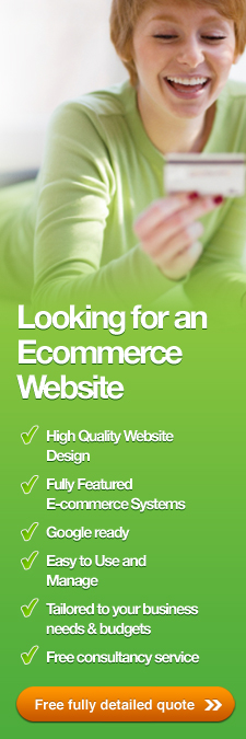 E-Commerce Consultants
