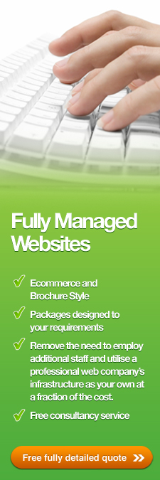 Brochure Websites
