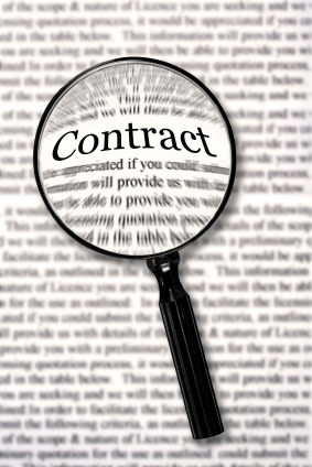 Website Design Contracts